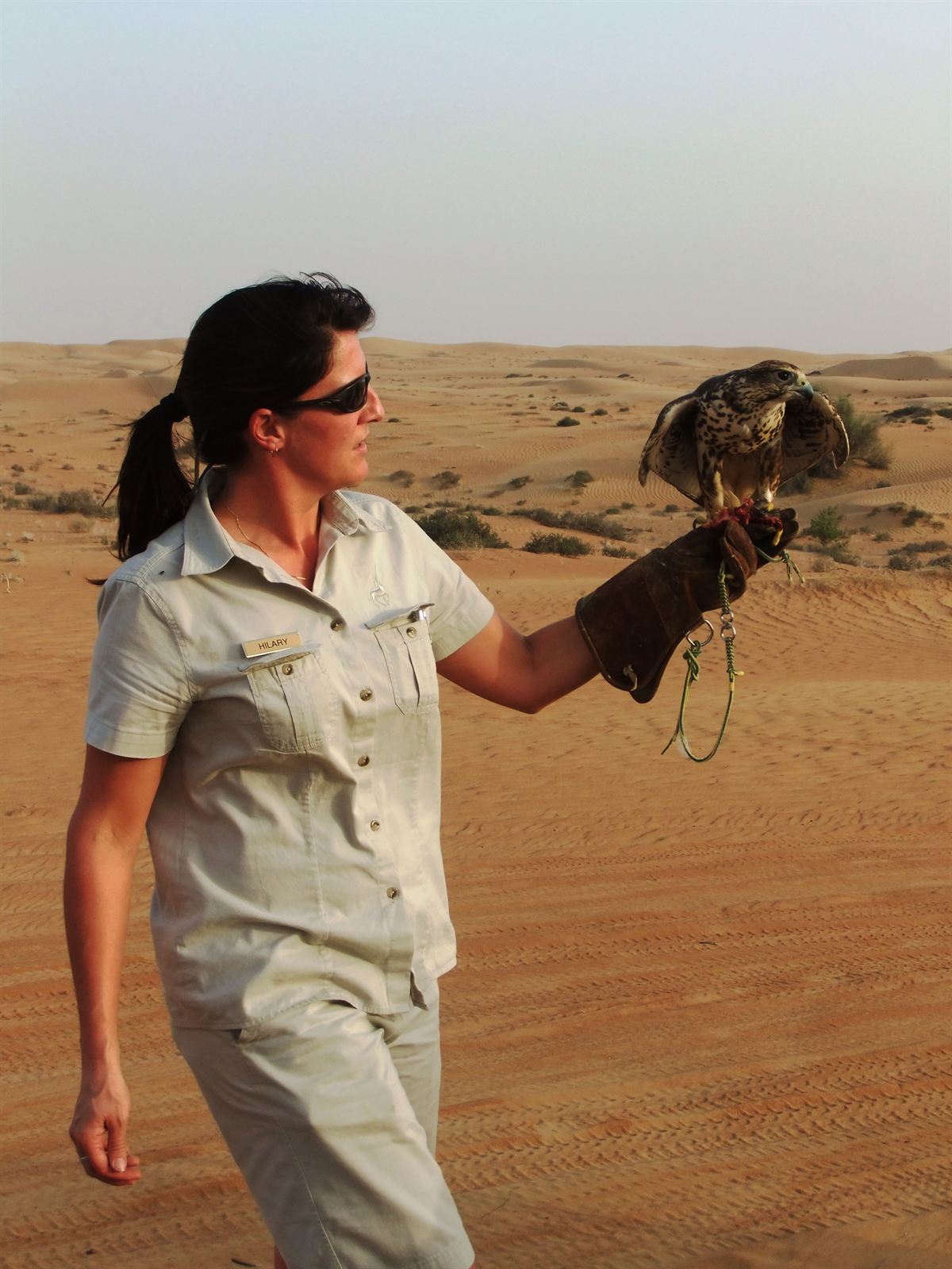 Falconer with a falcon on her arm in the desert